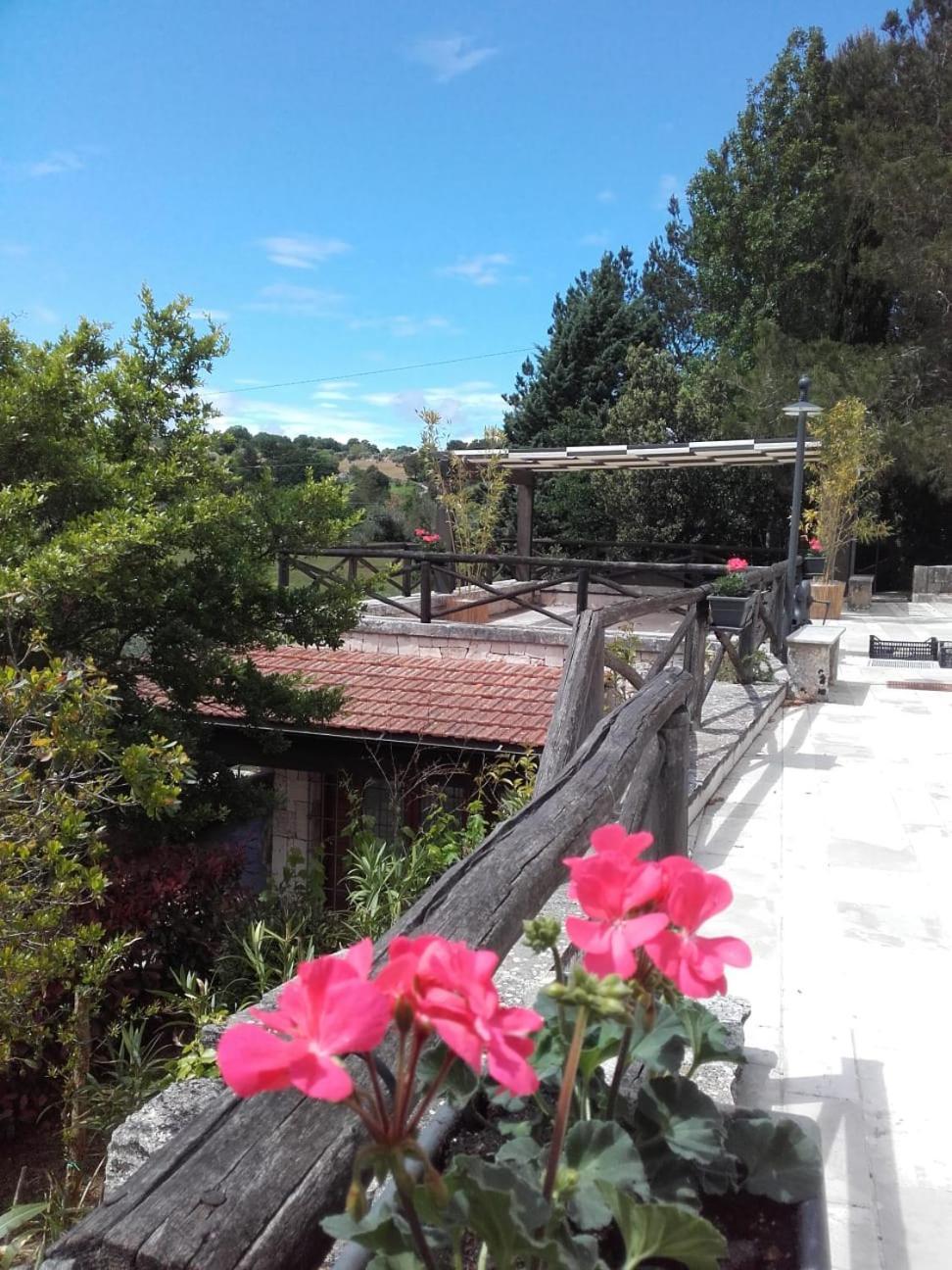 Trulli Bosco Selva Apartment Алберобело Стая снимка